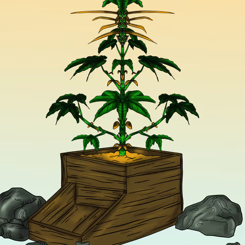 Cryptobordies Origins Buds