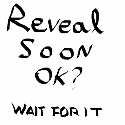 wen reveal