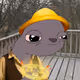 2455