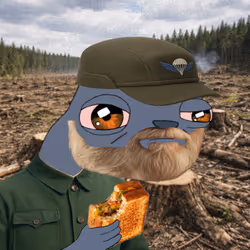 MoneyBadger #499