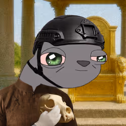 MoneyBadger #5894