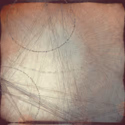 Reticulum