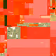 982