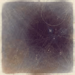 Reticulum