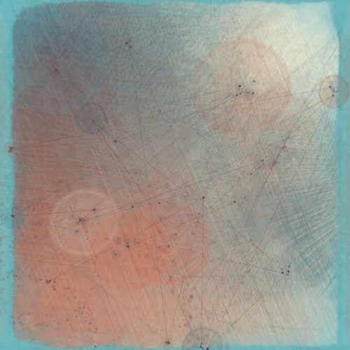 Reticulum