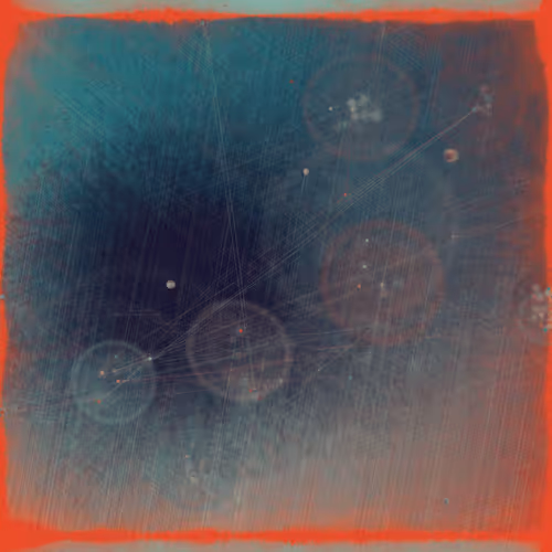 Reticulum By Harvey Rayner