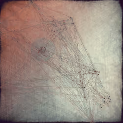 Reticulum