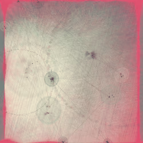 Reticulum
