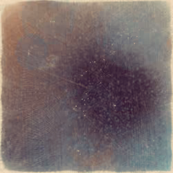 Reticulum