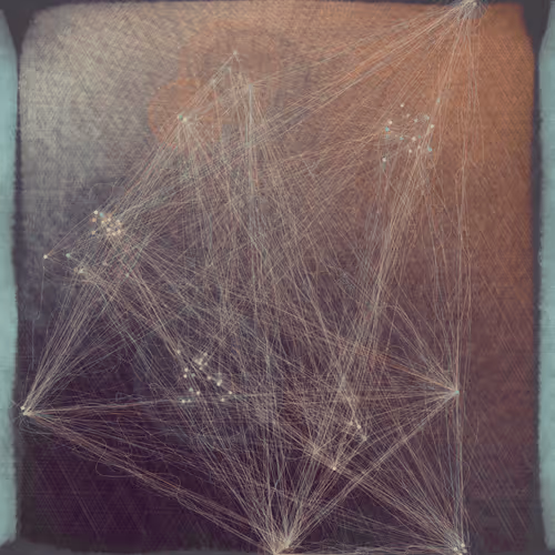 Reticulum By Harvey Rayner