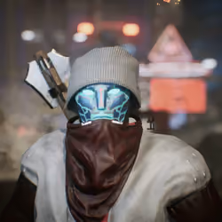 Bandit # 300