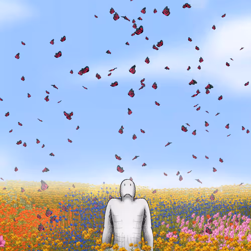 The Digital Mirage