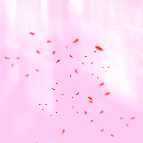 S K I E S / /  #1240