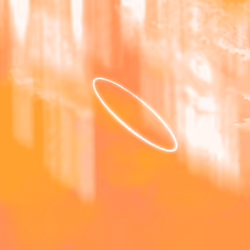 S K I E S / /  #739
