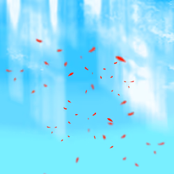 S K I E S / /  #559