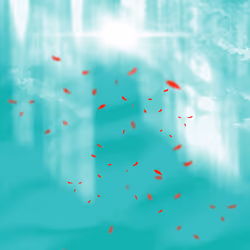 S K I E S / /  #1087