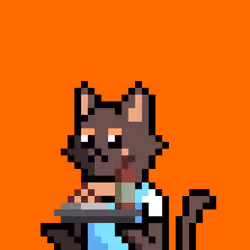 Cat #698