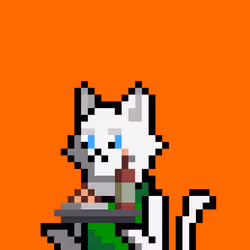 355