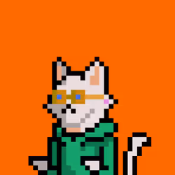 686