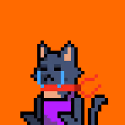Cat #94