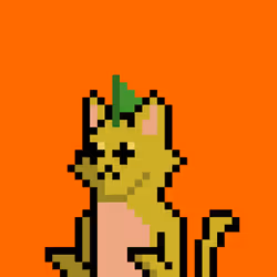 Cat #854