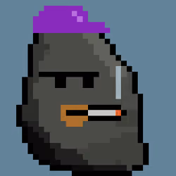 Punks Rocks ID:682