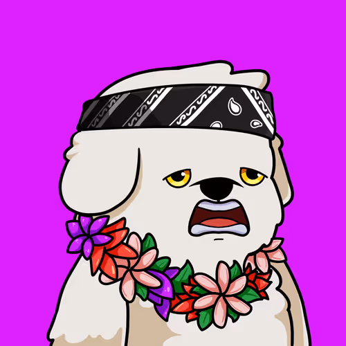 Hushpuppiesnft