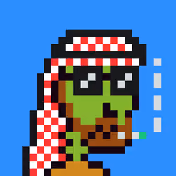 Saudis skeleton #1871