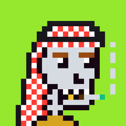 Saudis skeleton #1779