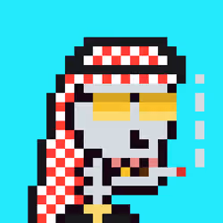 Saudis skeleton #1822