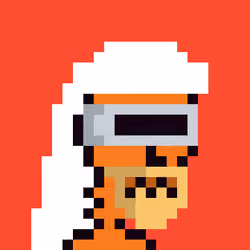 Saudis skeleton #987