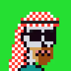 Saudis skeleton #1042