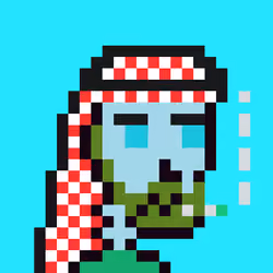 Saudis skeleton #1778
