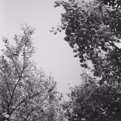 SELECTS | B&W FILM