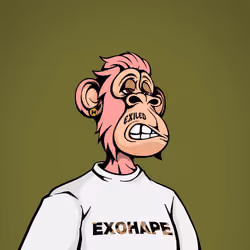 ExoHape #7313