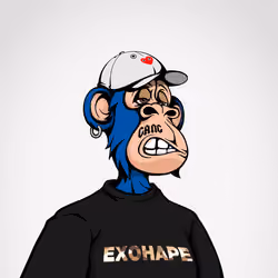 ExoHape #3163