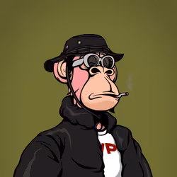 2479