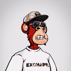 ExoHape #7033