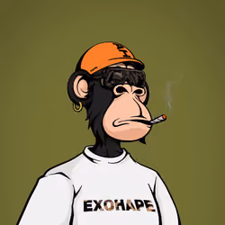 ExoHape #4133