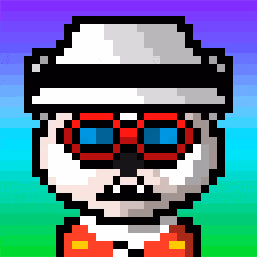Raccoon #1658