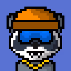 Raccoon #39