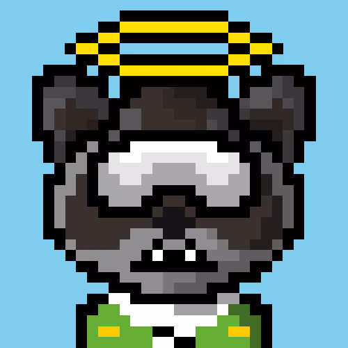 Raccoon #294