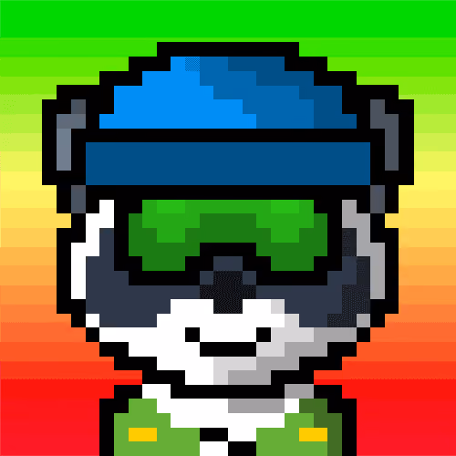 Raccoon #3