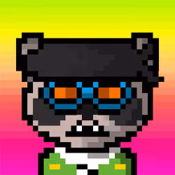 Raccoon #48