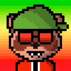 Raccoon #258