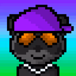 Raccoon #298