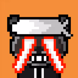 Raccoon #297