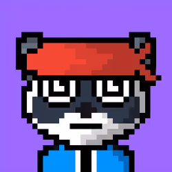 Raccoon #246