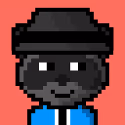 Raccoon #47
