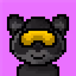 Raccoon #223